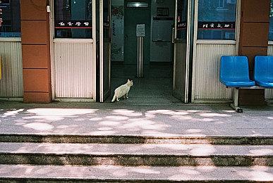 《电锯甜心RePOP》主角新配音为田村由香里 支持更换旧版配音